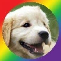 la habitación de Daniel